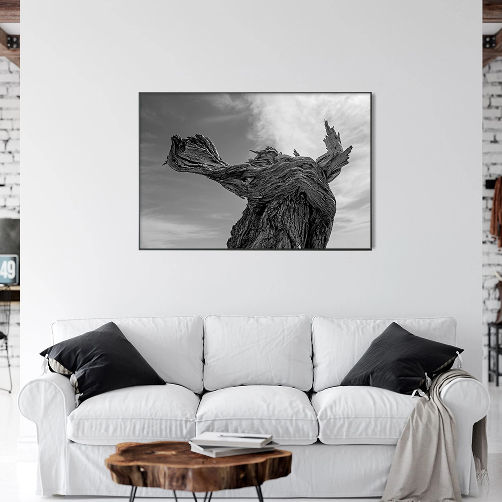 Custom Classic Photography Large Paintings for Wall Decorations Posters for Room Aesthetic Wall Art Canvas with Frame