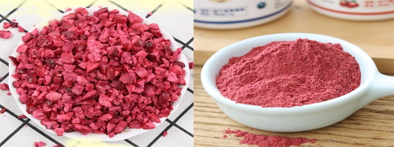 High Quality Freeze Dried Cranberry Powder