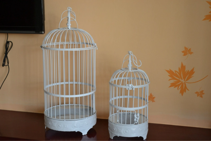 Hand Made Iron Bird Cage for Outdoor Decoration