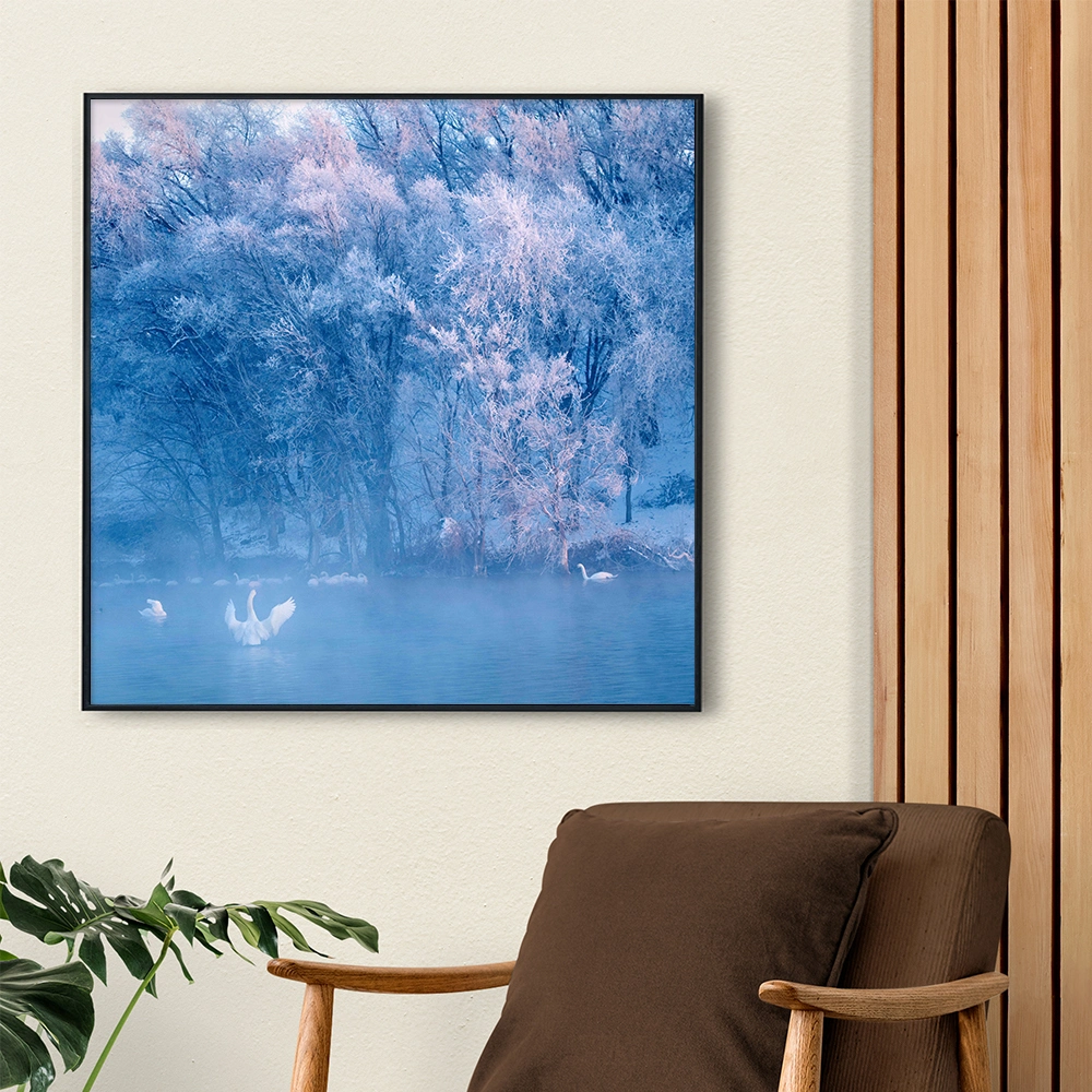 Wholesale Canvas Prints Custom Swan Scenery Photography Wall Art