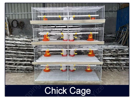 Layer Chicken Cage Tier Frame Mesh Wire Galvanized Steel Customizable Large Frame