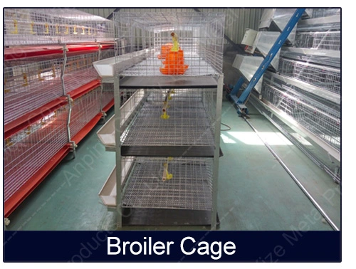 Layer Chicken Cage Tier Frame Mesh Wire Galvanized Steel Customizable Large Frame