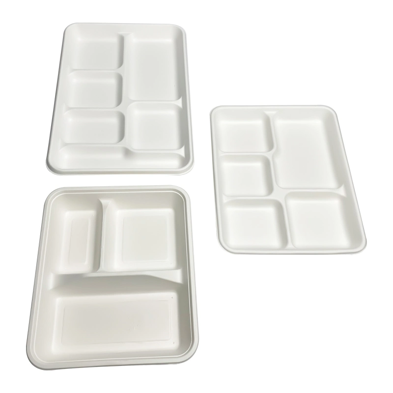 Biodegradable Disposable Tableware Compostable 5 Compartment Sugarcane Food Serving Tray