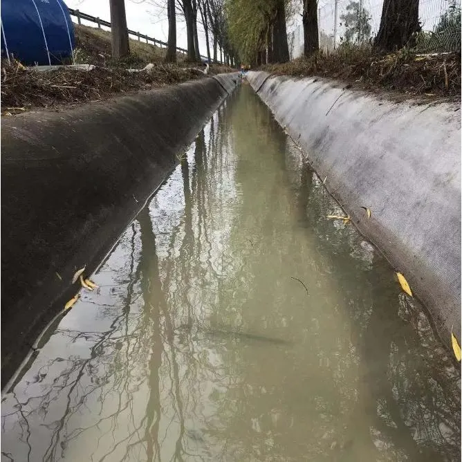 5mm 8mm Thickness Concrete Fabric Roll Cement Canvas for Drainage Ditch Irrigation Canal Channel Lining