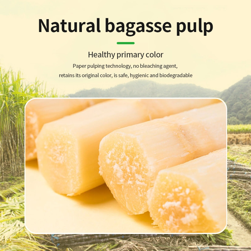 Biodegradable Disposable Tableware Compostable 5 Compartment Sugarcane Food Serving Tray