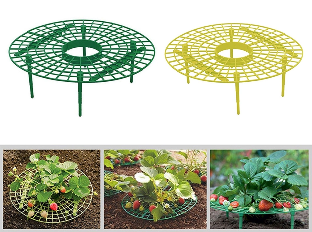 Strawberry Stand Frame Holder Planting Rack Fruit Support