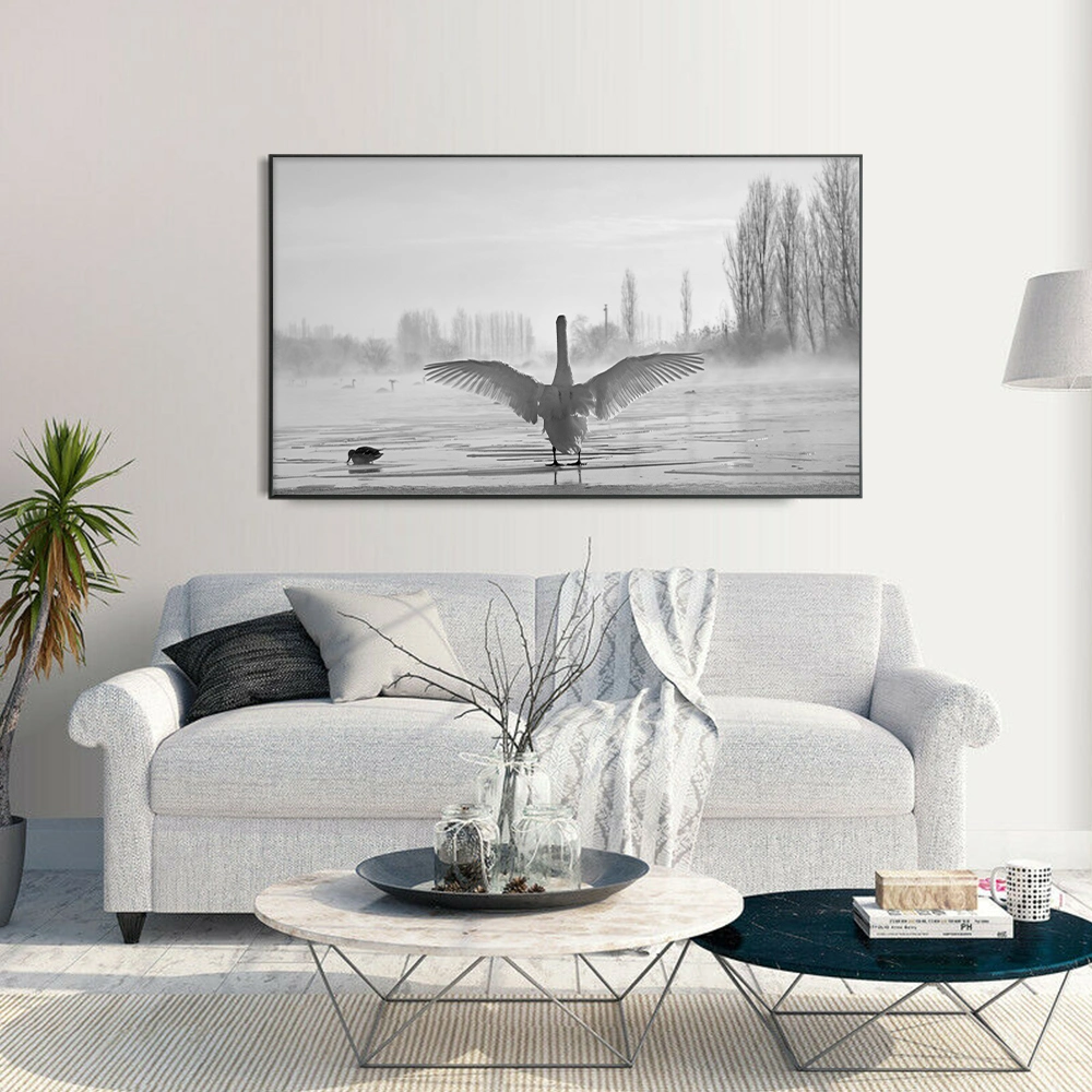 Factory Wholesale Swan Photography Floating Frame Canvas Painting Wall Art