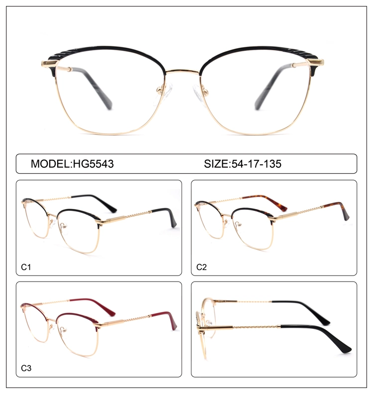 New Design Fashion 2019 Latest Optical Eyewear Frames Cat Eye Metal Big Frame with Twist Temple