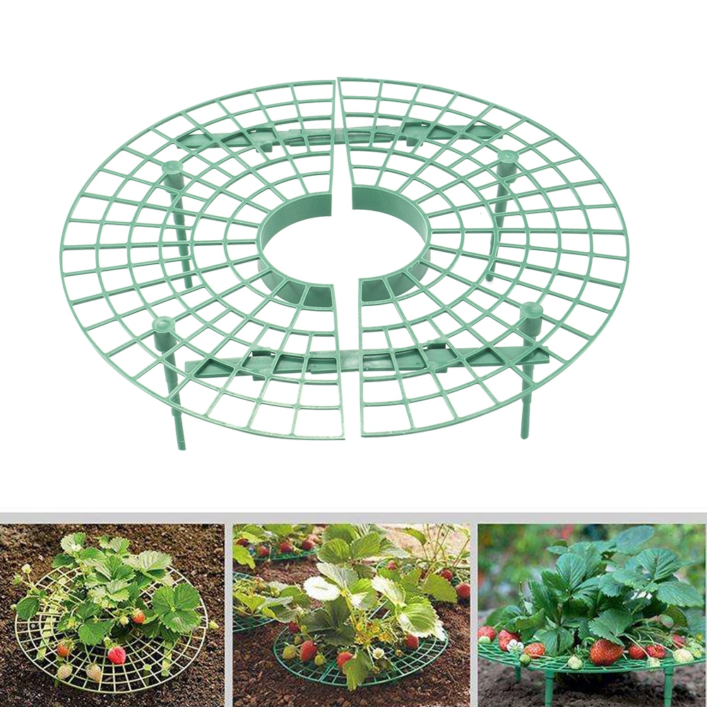 Garden Plastic Melon Strawberry Plants Fruit Tray Grids Support Holder