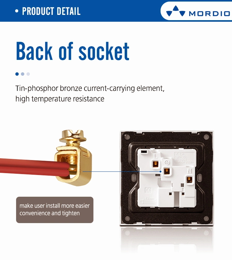 Trendy IEC Saudi Sqm Multi Function 13A Switch Socket with 2 USB