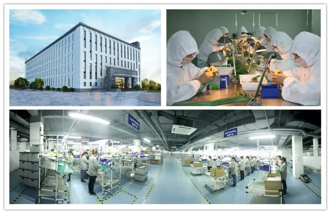 Top Three Manufacturer in China Industrial Eto Sterilizer