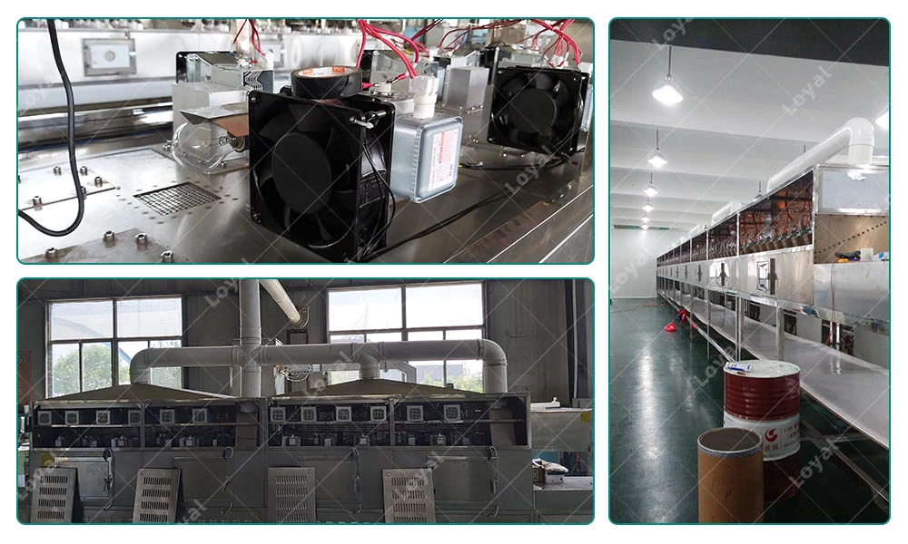 Automatic Fruit and Vegetable Drying Machine/Medical Waste Microwave Sterilization System