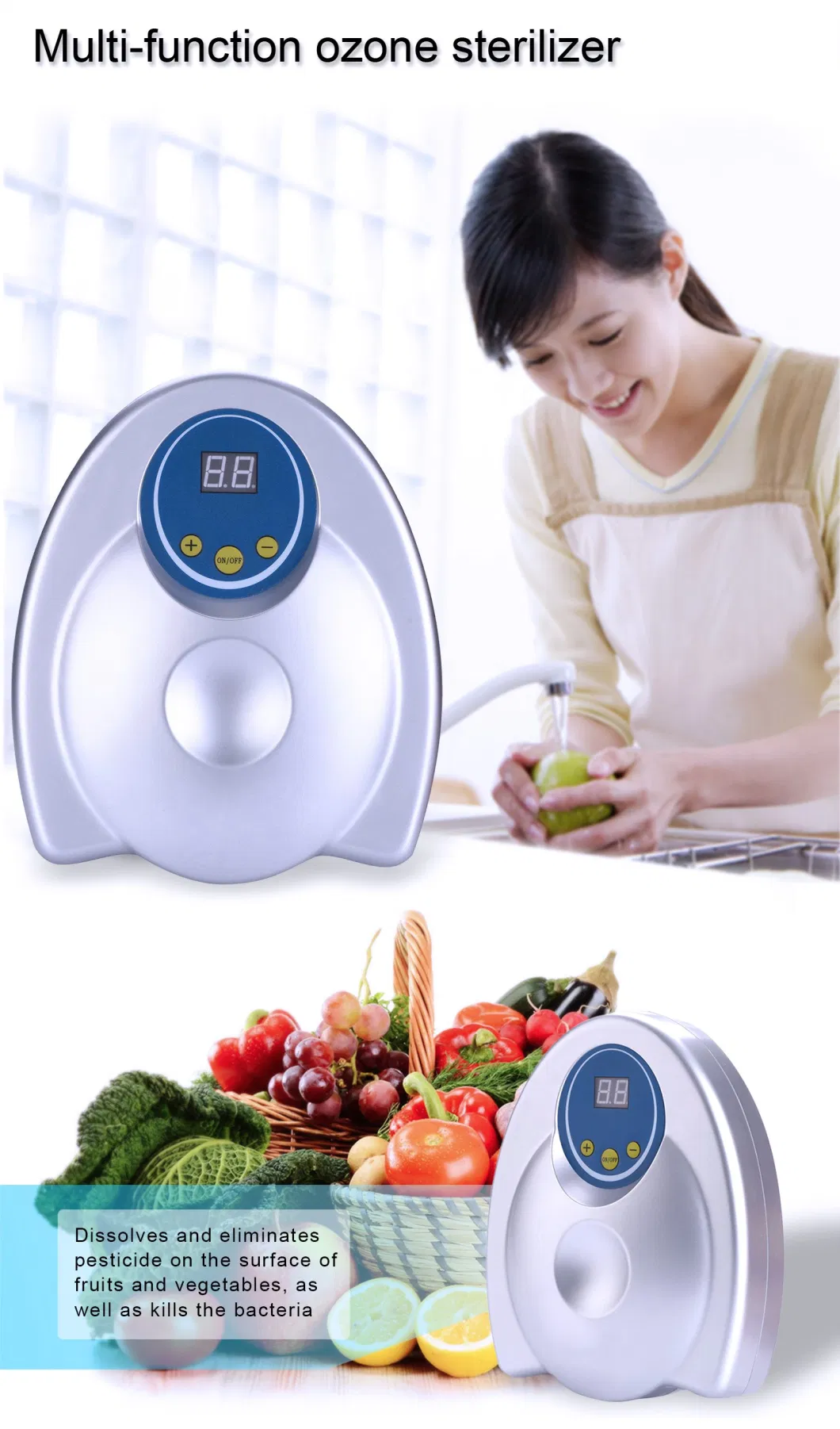 Wall Mounted 400mg/H Ozone Food Disinfection Sterilizer Portable Vegetable Cleaner Machine