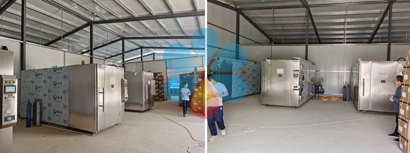 6cm3 Ethylene Oxide Sterilizer Eto Gas Disinfection Machine Manufacturer for Mask Sterilization