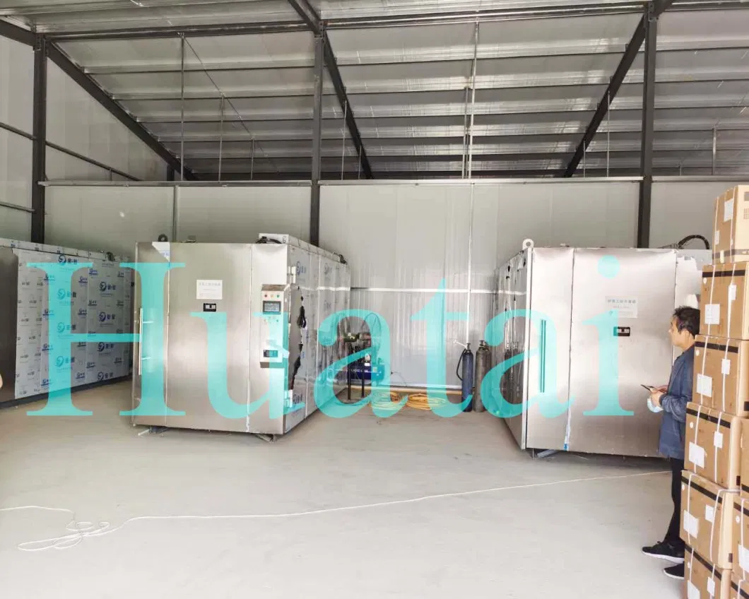 Ethylene Oxide Sterilization Chamber Industrial Eto Sterilizer for Sale