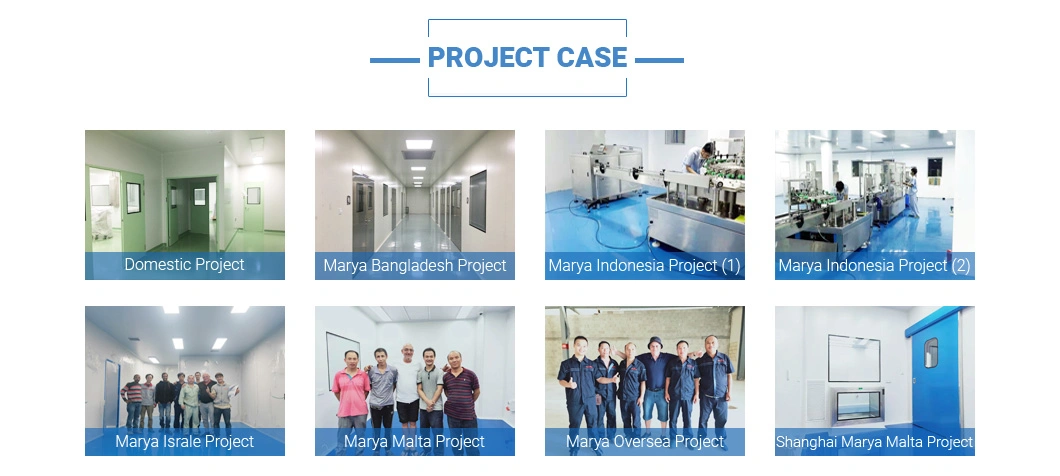Marya Cleanroom Formaldehyde Generator for Disinfection and Sterilization Products in The Microbiological Laboratories and Pharmaceutical Factories