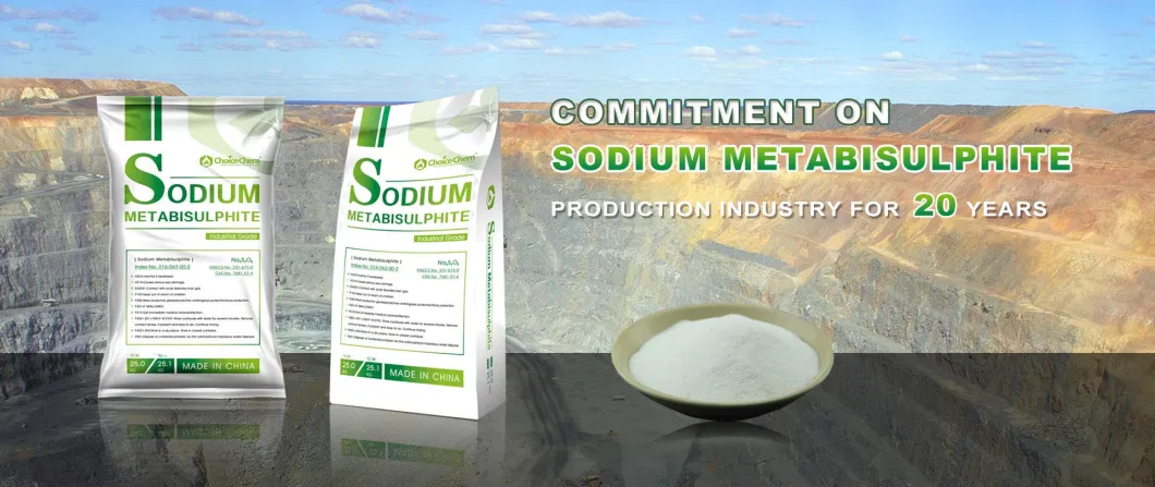 Choicechem Deying Grade Sodium Metabisulphite/ Sodium Metabisulfite / Sodium Metabi Sulfite