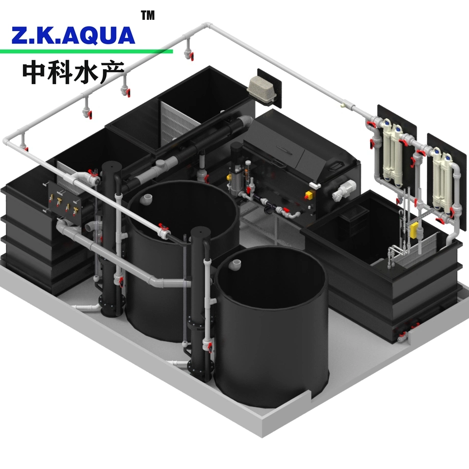 Ras Indoor High Density Fish Farm Aquaculture System for Grouper or Seabass Fish Ras