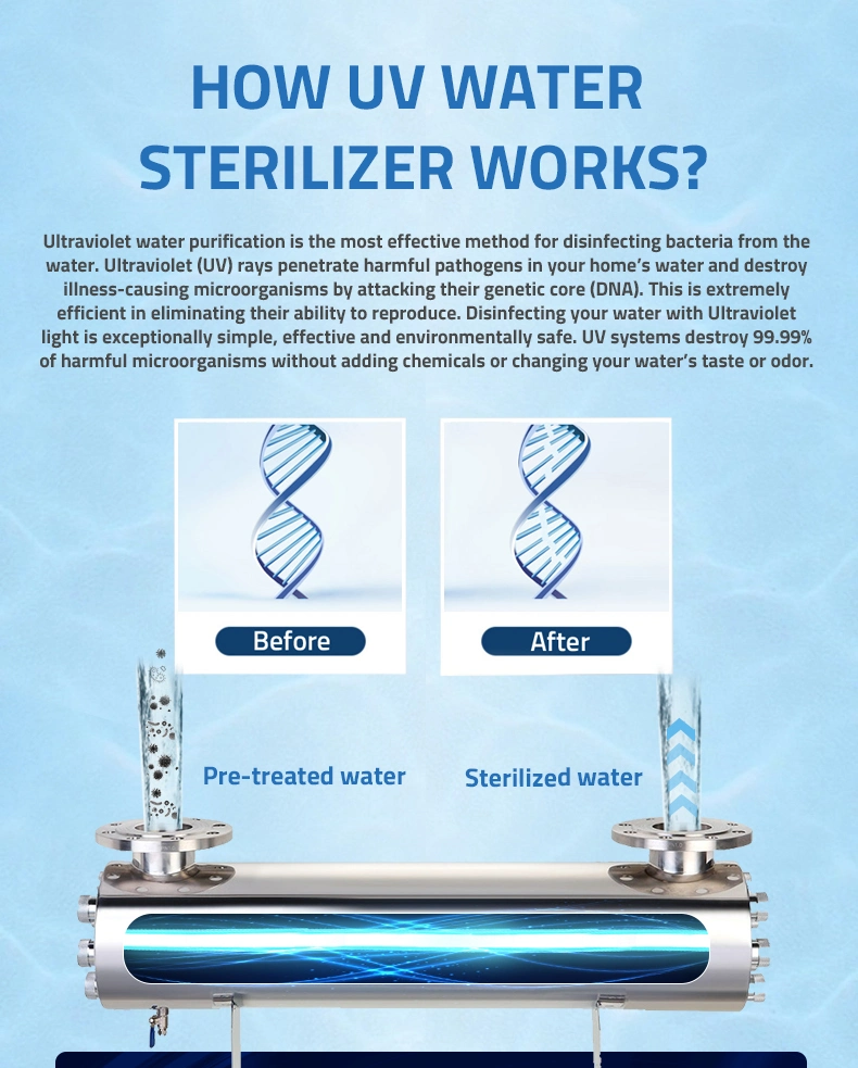 Stainless Steel 304 Medical Water Purification UV Germicidal Light Sterilizer