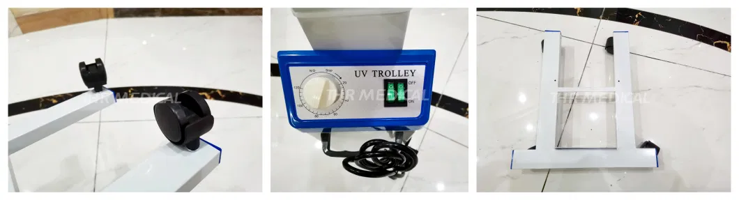 Factory Price Medical Ultraviolet Ozone UVC 254nm Germicidal Lamp UV Sterilizer for Instrument