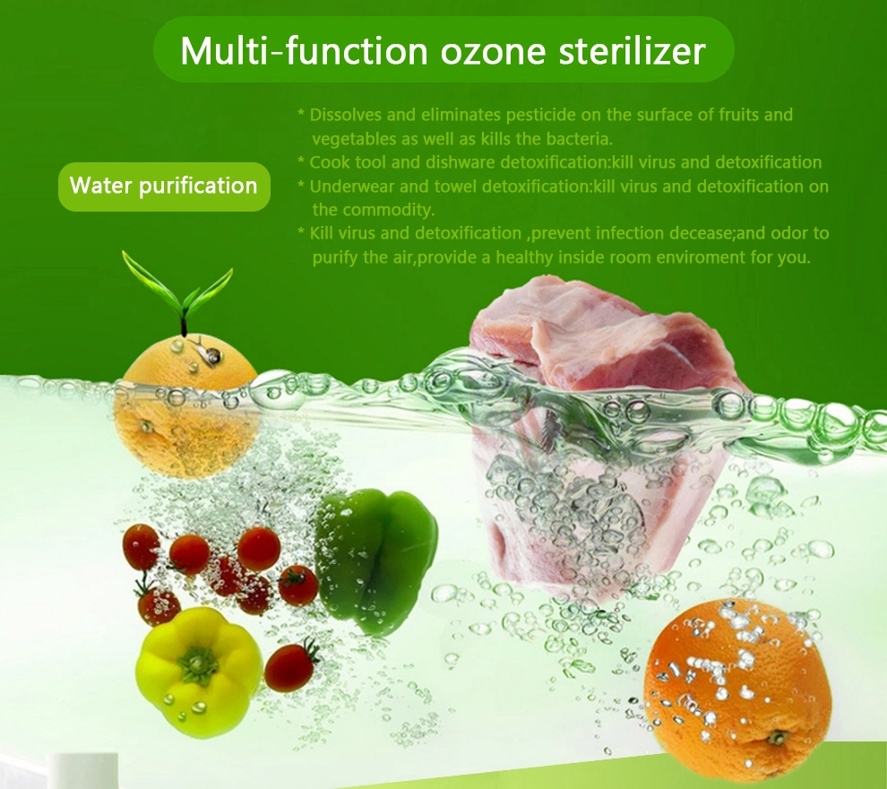 Smart Plsama Ozone Water Sterilizer with LCD Touch Screen