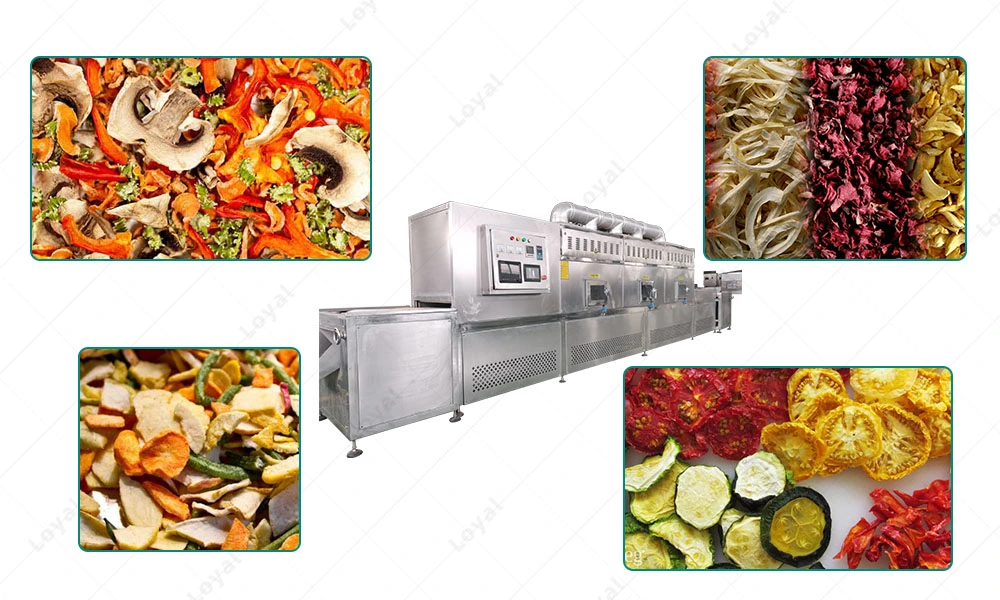 Automatic Fruit and Vegetable Drying Machine/Medical Waste Microwave Sterilization System