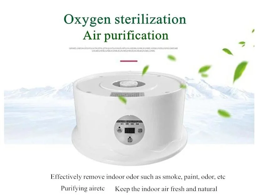 Ultrasonic Vegetable Fruit Washer Jewelry Watches Dental Cleaning Sterilizer Ozone Sterilization Sterilize Machine Household Vegetable Pesticide Detoxification