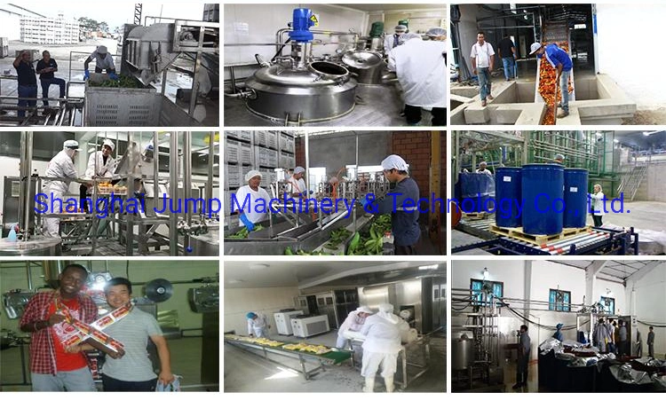 Pumpkin Processing Line 2 Ton/H Cooked and Homogenized Pumpkin Puree Processing Line Machine