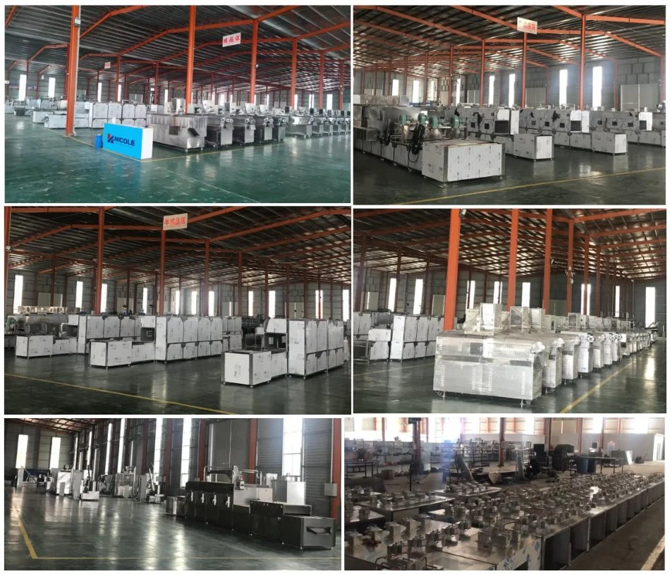 Fully Automatic Drying Spice Condiments Industrial Microwave Drying Sterilizer Machine