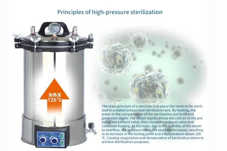 Portable Stainless Steel Pressure Steam Sterilizer Equipment for Both Coal and Electricity Use