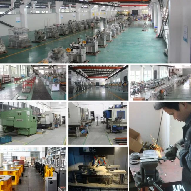 Equipped with Sterilization Device Disinfection Water Liquid Bag Packing Machine with CE Certificate