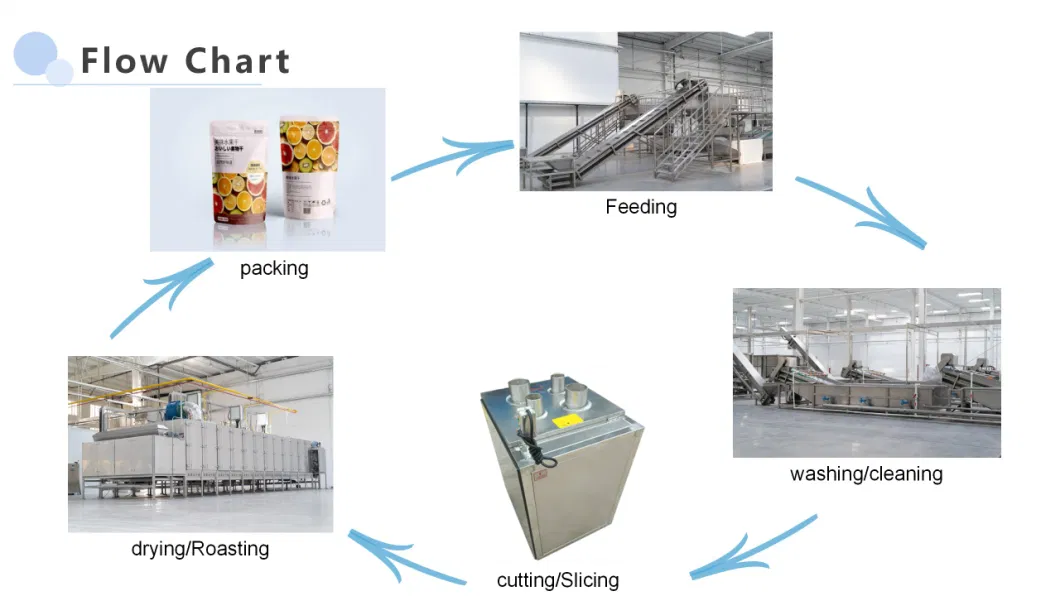 Intelligent Powder Products Drying Machine/Continuous Spice Microwave Sterilizer