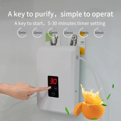  An der Wand montierter Küchen-Sterilisator mit Ozon-Luftreiniger Ozon Generator