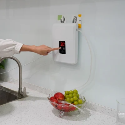 An der Wand montierter Küchen-Sterilisator mit Ozon-Luftreiniger Ozon Generator