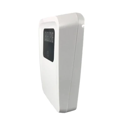 Selbstarbeitendes Modell Ozon Generator Wasser Lebensmittel Sterilisator Gemüse Obst Waschmaschine