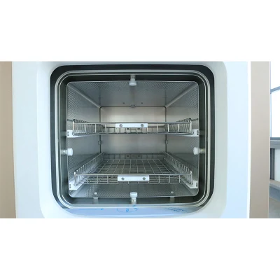 Biobase Gas Sterilisator H2O2 EO Plasma Sterilisation für chemische