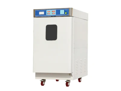 600L 1000L Ethylenoxid-Sterilisator EO-Gassterilisationsmaschine