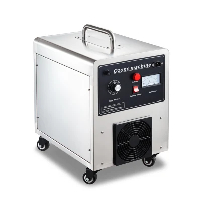 30g Home Gemüse sauberes Obst Waschmaschine Sterilisator Generator Ozon Maschine