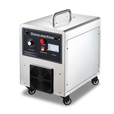 30g Home Gemüse sauberes Obst Waschmaschine Sterilisator Generator Ozon Maschine