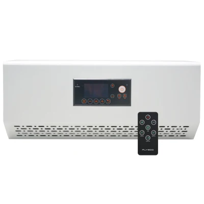 An der Wand montierter Ozongenerator O3 Sterilisator zur Lebensmittel- und Geruchsentfernung