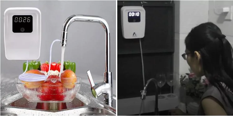 Self-Working Model Ozone Generator Water Food Sterilizer Vegetable Fruit Washer