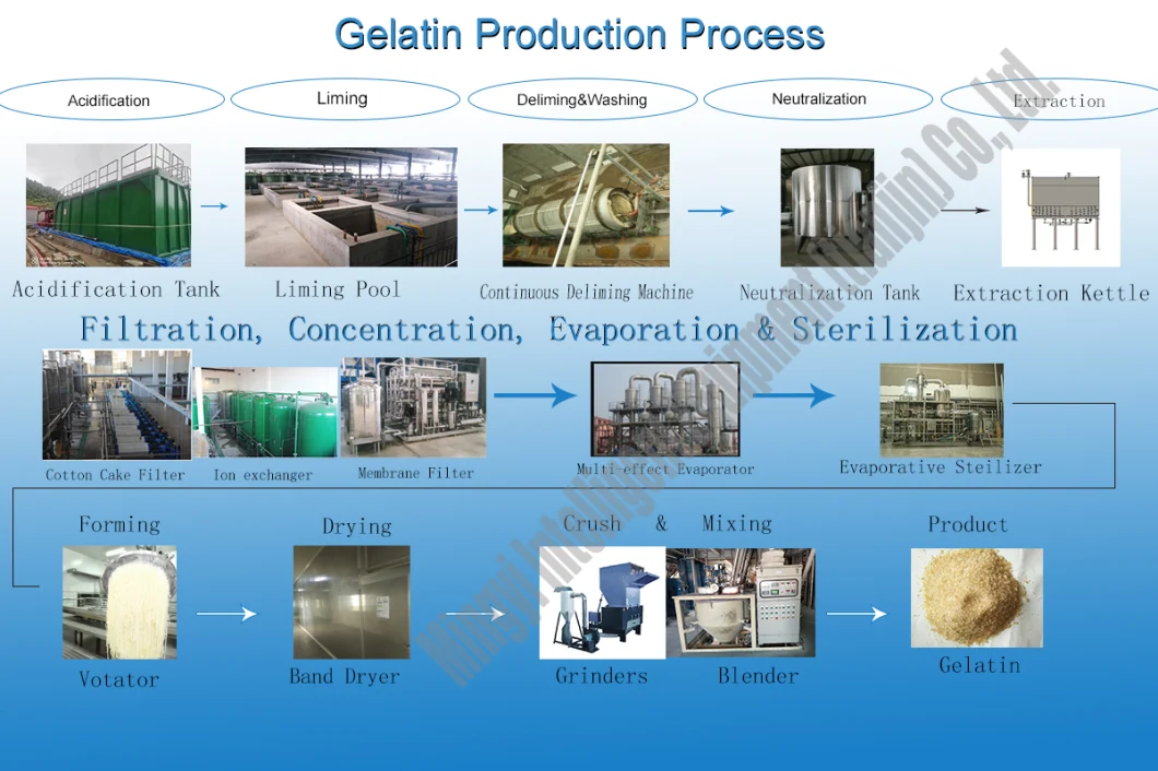 Stainless Steel Pharmaceutical and Edible Grade Evaporative Sterilizer for Gelatin
