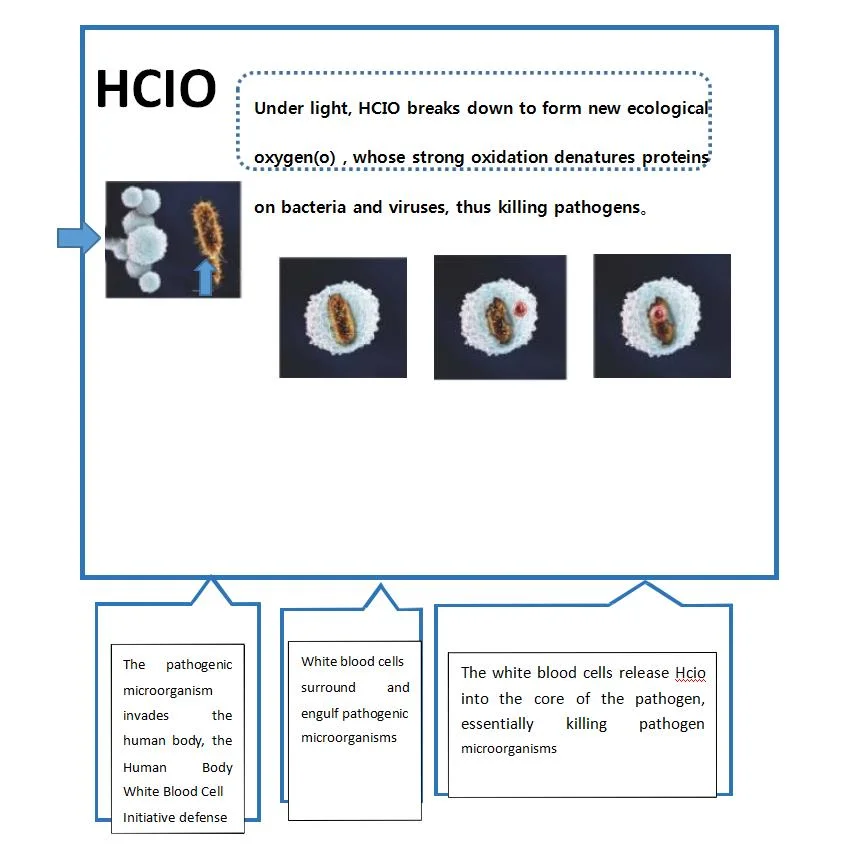 Intelligent Tunnel Sterilization Gate, Temperature Measurement and Disinfection Fog Machine