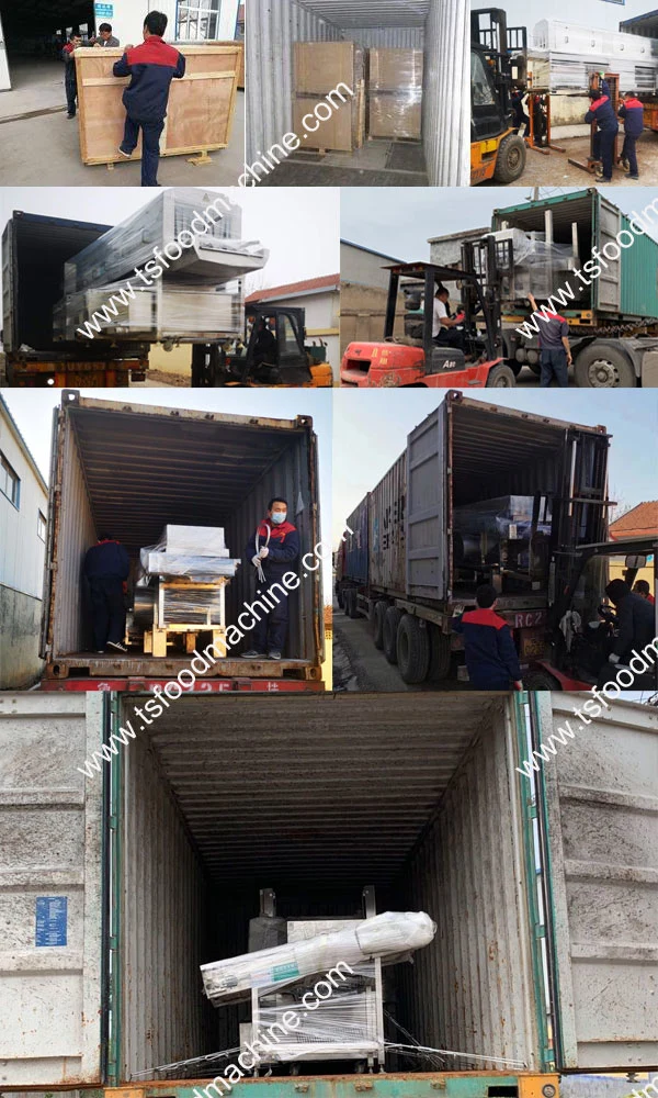 Frozen Packing Carton Disinfectant Spray Type Tunnel Sterilizer