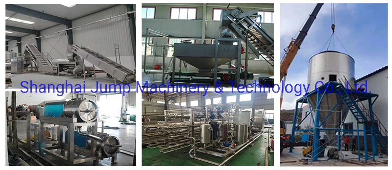 Pumpkin Processing Line 2 Ton/H Cooked and Homogenized Pumpkin Puree Processing Line Machine