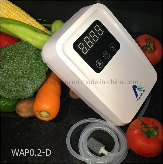 Small Ozone Generator Food Preservation Refrigerator Sterilizer Air Ozone Sterilizer