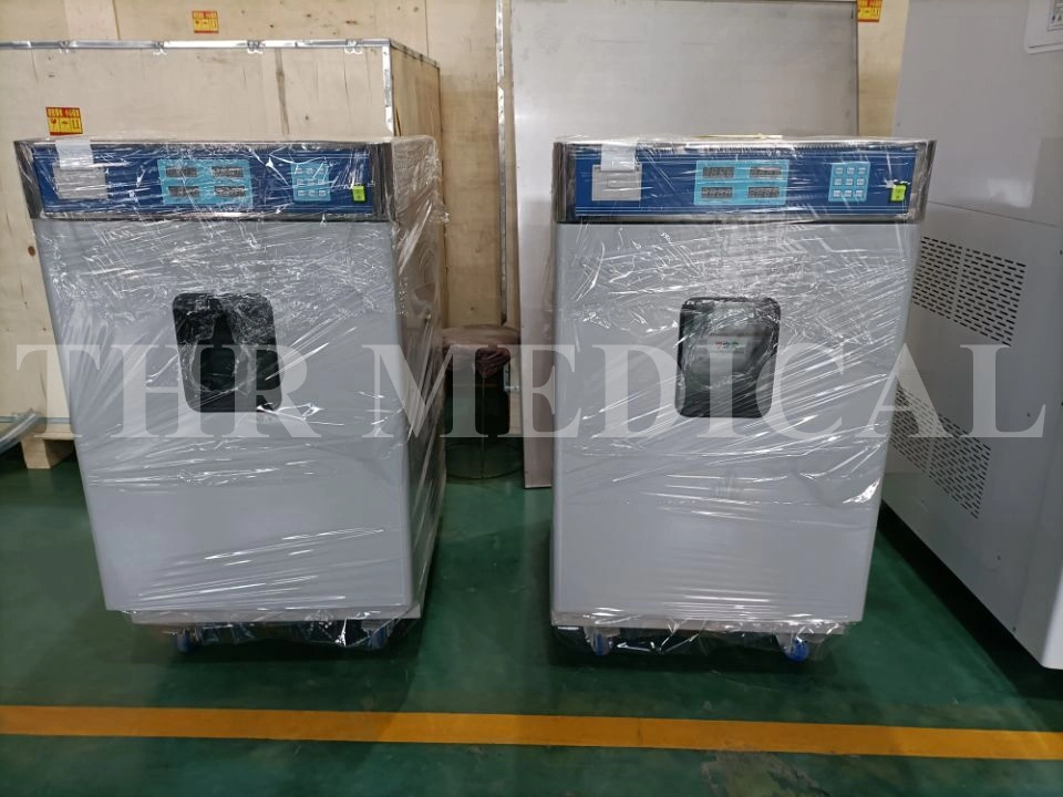 Medical Autoclave Machine Eto Gas Sterilizer Sterilization Hospital Vertical Eo Sterilizer (THR-SH80)