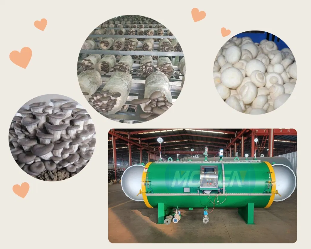 Larger Capacity Steam Sterilizer Mushroom Autoclave