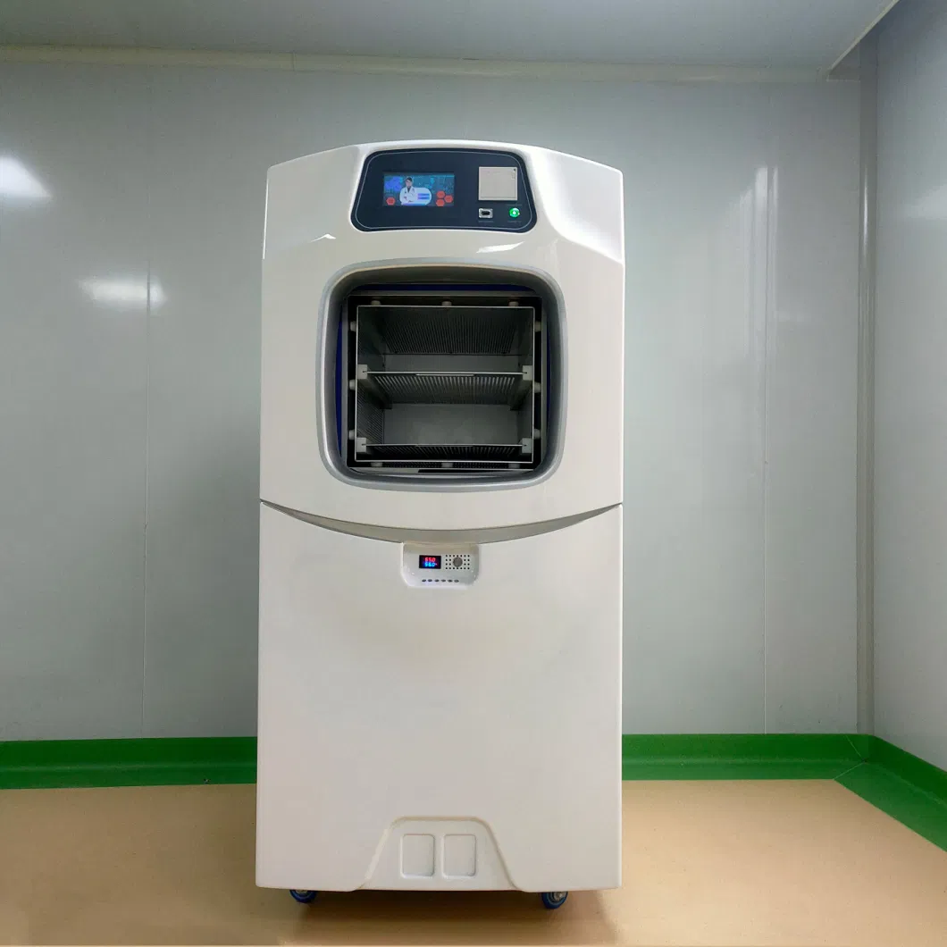 Medical Equipment Hospital Use Good Quality Low Temperature Hydrogen Peroxide Plasma Sterilizer