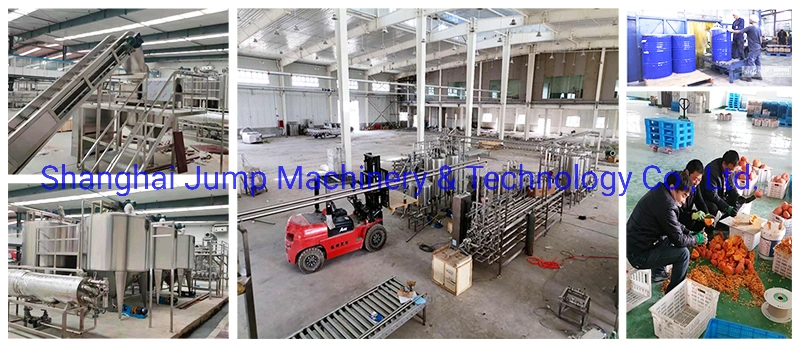 Pumpkin Processing Line 2 Ton/H Cooked and Homogenized Pumpkin Puree Processing Line Machine